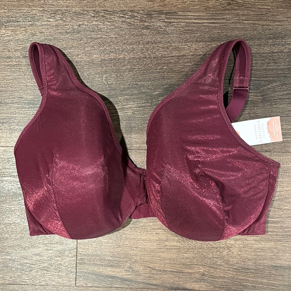 Elegant Burgundy Women's Bra